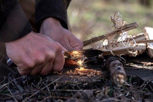 Top 5 Bushcraft Trends to Watch in 2026