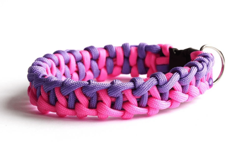 Paracord manufacturer: colored pink and violet woven paracord dog collar.